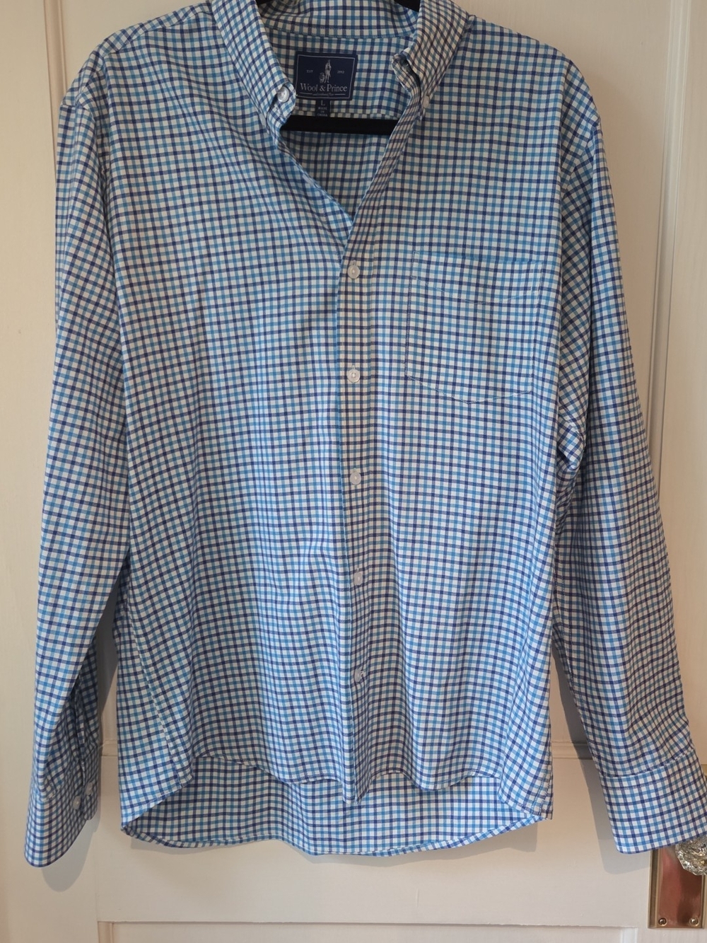 Wool & Prince Men's Blue Check Button-Down Shirt